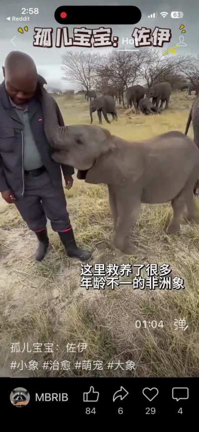 Orphaned baby in Africa loves his caretaker