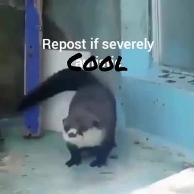 shitpost status