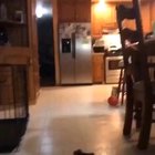Clumsy dog and owner.