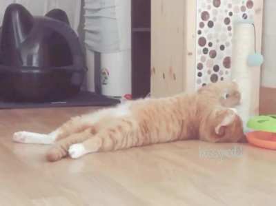 just one of those days, when you want to do something but you don't at the same time