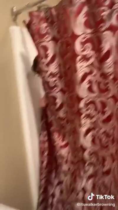Jogadores de fogaréu livre de valor monetário tomando banho