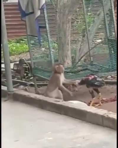'-'