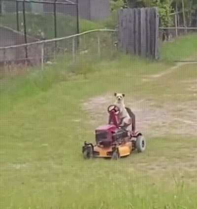 hmmm