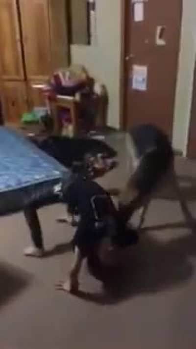 Nice Trick!