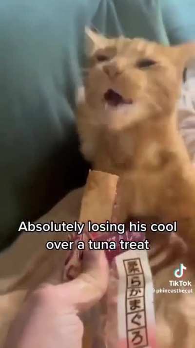 loser tuna
