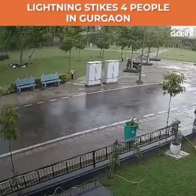 Why you shouldn’t stand under a tree during a rain shower...