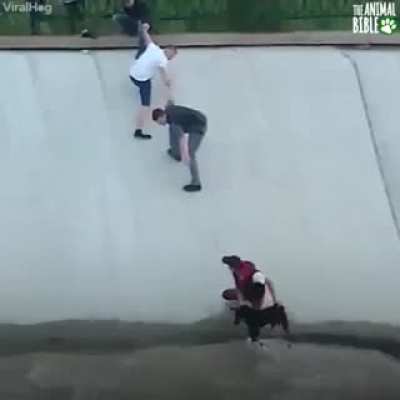 They all came together to save the day