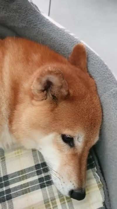 aaAAA