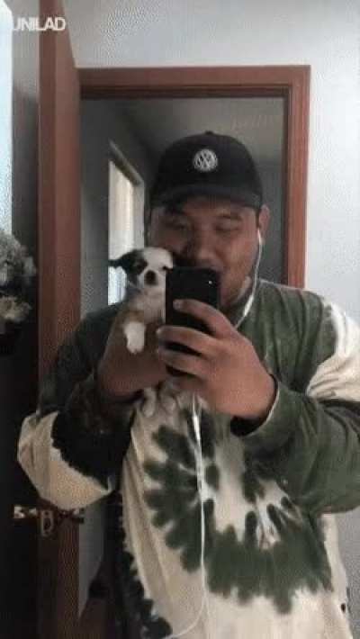 If you're illegally small and you know it wave your paw..