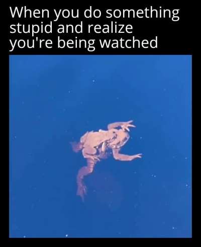 me_irl