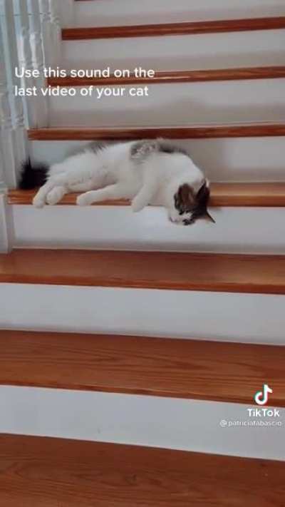 Spilled down the stairs