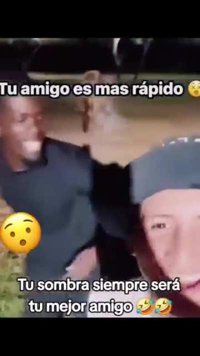 XD