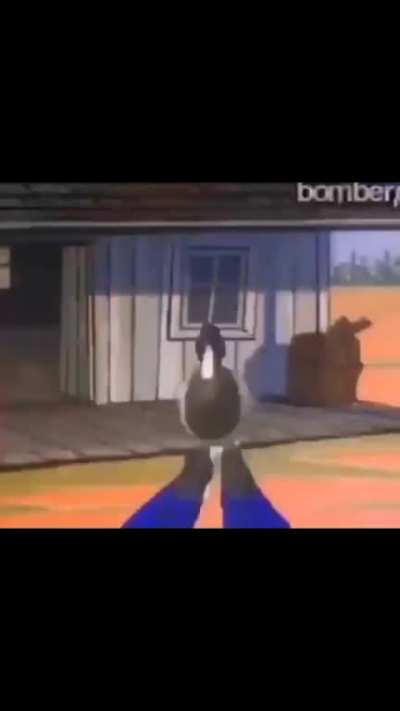 🦆