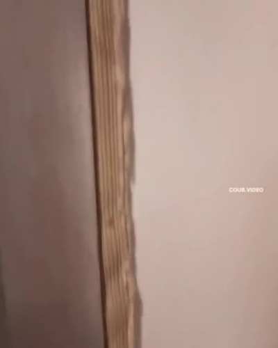 Они заполонили всю планету