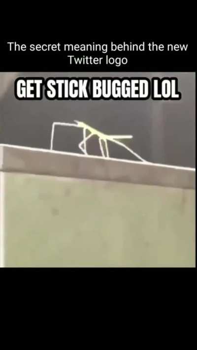 Ok