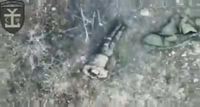 Reconnaissance drone dropped two VOGAs at once