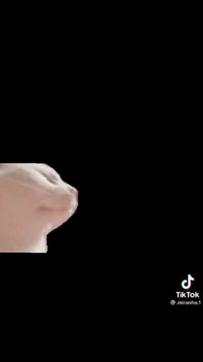 Meu primeiro post. Mas e muito bom kkkkkkkk