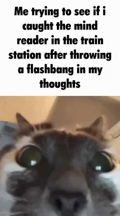 ‌