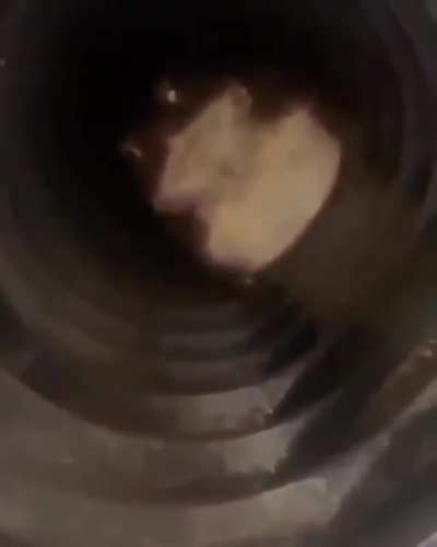 '_'