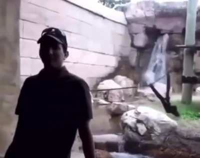 Monke