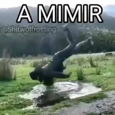gente a mimir