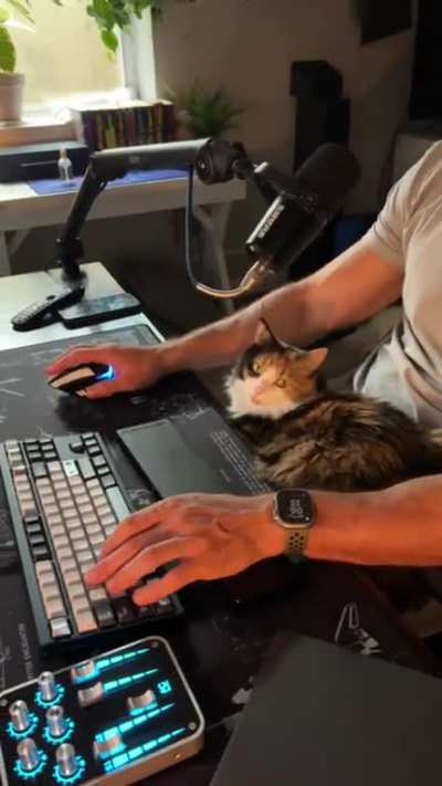 Does anyone else’s cat watch them play?