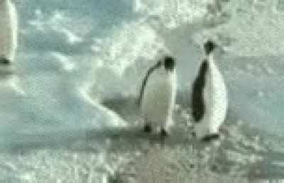 How siblings treat each other when mom isn't around