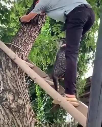 За то я спас кота, я выпол<wbr>нил приказ, ведь выпол<wbr>нить приказ перво<wbr>степе<wbr>нно важно.©