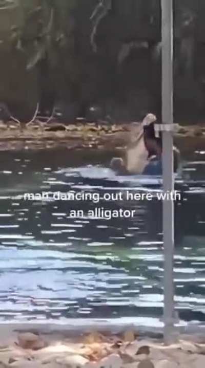 Dancing with an Alligator