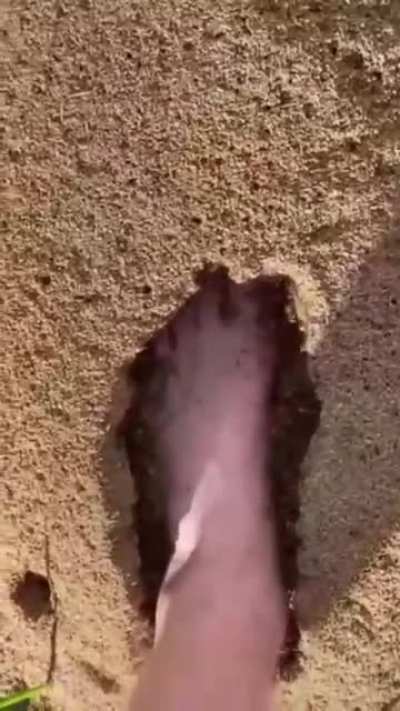 ?