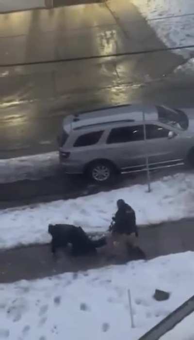 Two ICE agents slip on ice in Minnesota —causing one of their weapons to discharge because it wasn’t set on safety. These people are dangerously negligent.