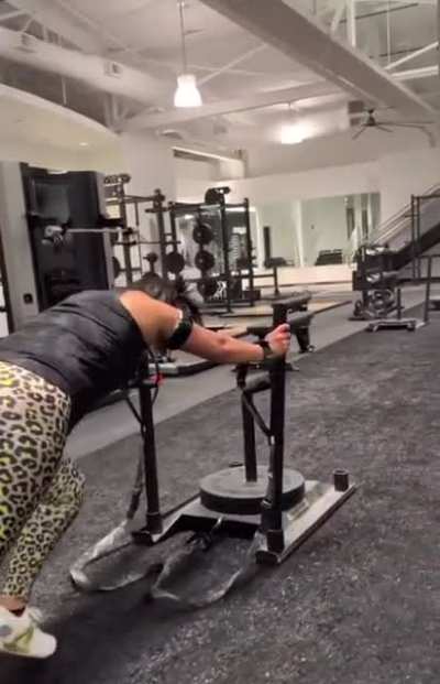 bayley