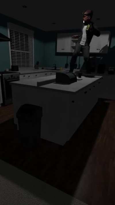 Professional Ghosthunters be like