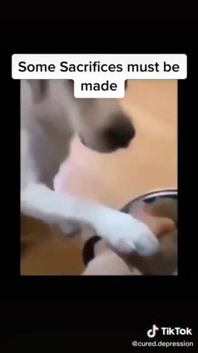 i hope he sees this