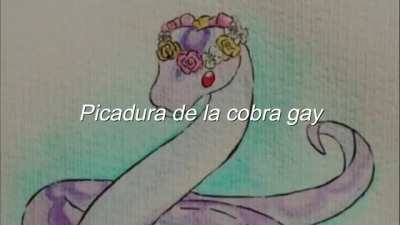 picadura da cobra adm 😨