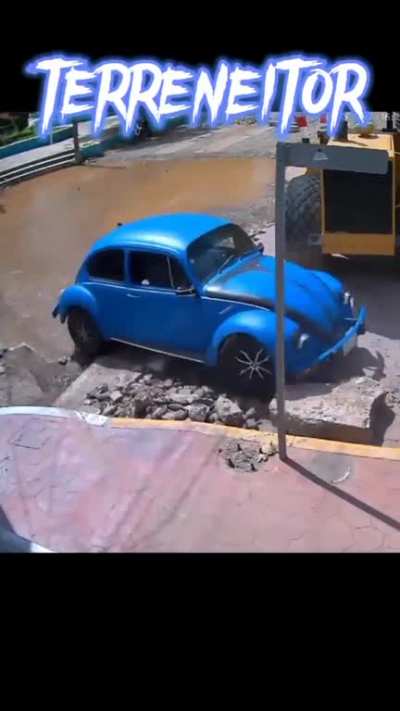 Y es anfibio 