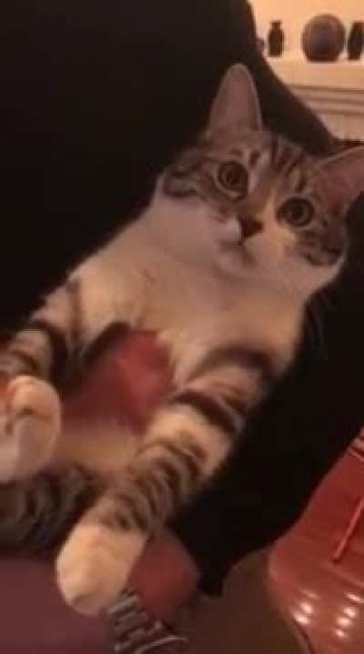 If you're happy and you know it!!- come on sing with Catto!