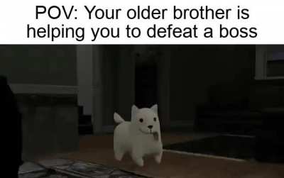 Haha I am the boss now