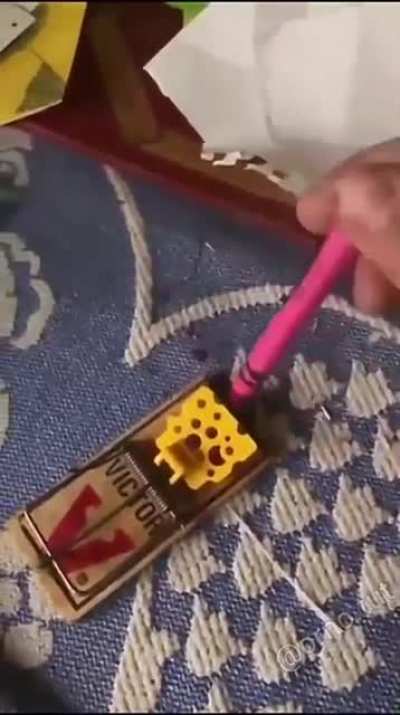 Testing a mouse trap with a crayon