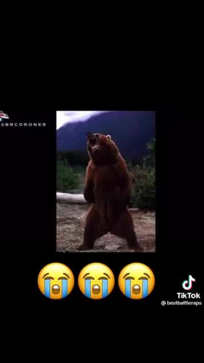 Bro did not hold back