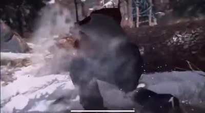 𝐆𝐎𝐃 𝐎𝐅 𝐓𝐇𝐄 𝐇𝐎𝐎𝐃