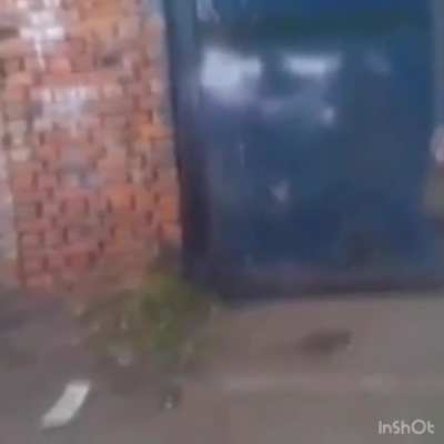 Dude farts on fire