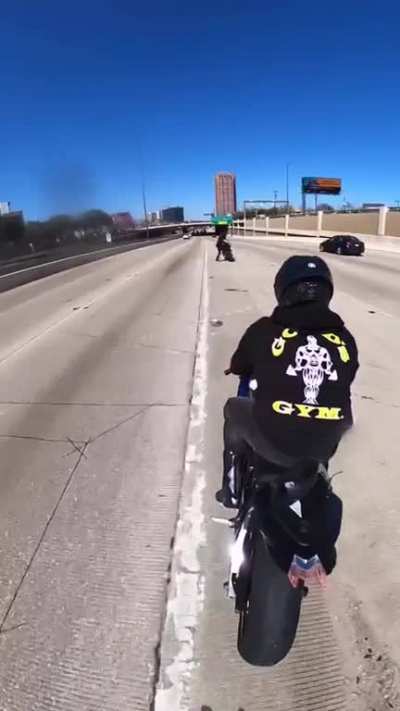Road Roaches