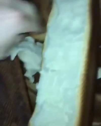 Bread