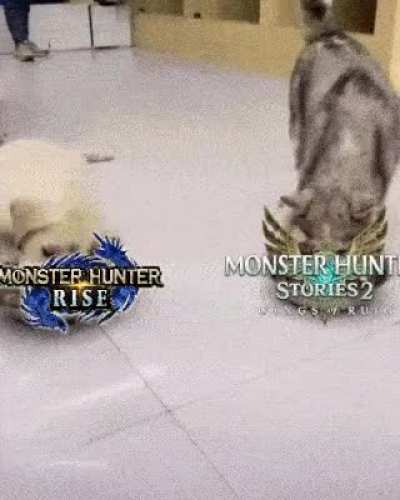 who here be that doggo?