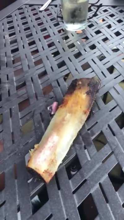 To get the bone