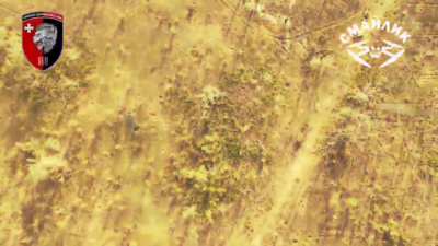Ukrainian Mavic rammed a Russian Mavic which lost control and crashed to the ground. Operator of the 63rd Separate Mechanized Brigade. East of the village of Terny, Donetsk region. August 28, 2024