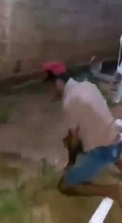 O ataque do guinas