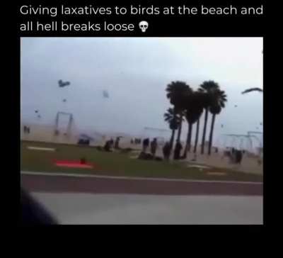 Don’t give me ideas