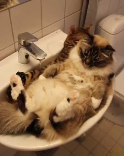 Liquid